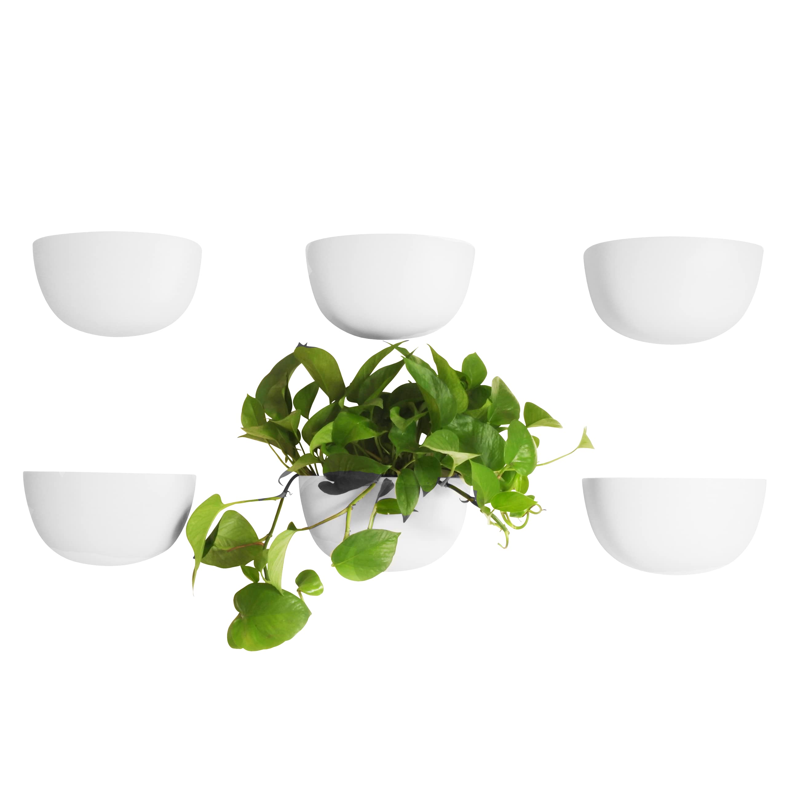 Make Good Virgo Wall Planters