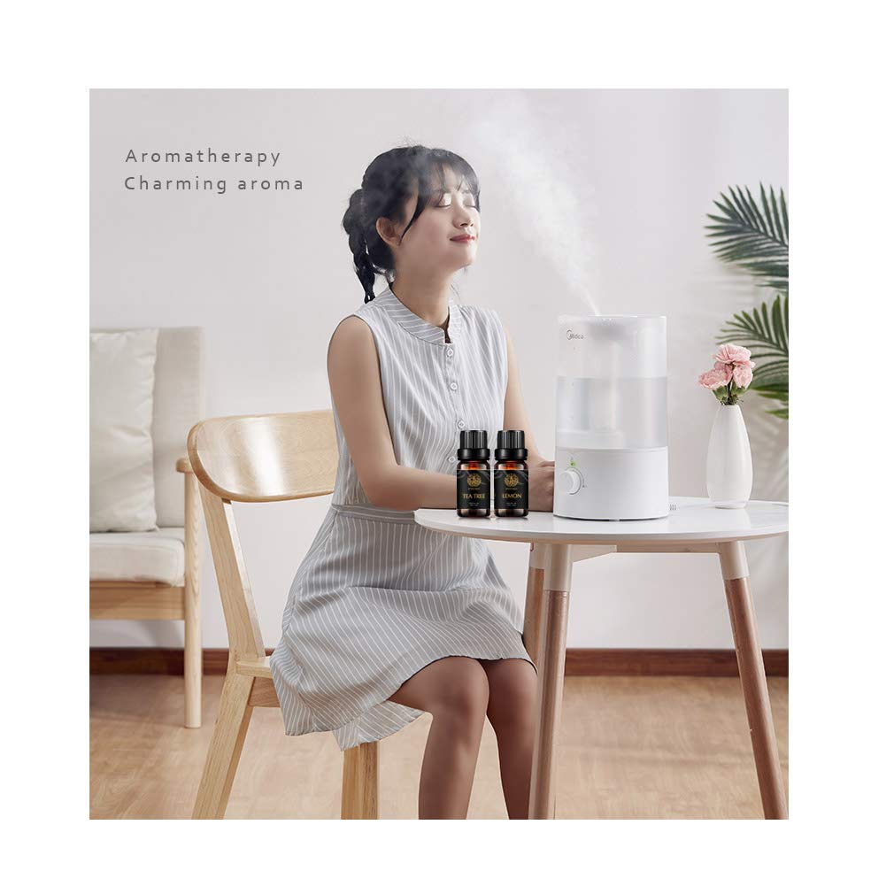 Aromatherapie Thymian ätherisches Öl Set für Diffusor, 100% reine Bergamotte ätherisches Öl Kit für Hause, 8x10ml Kamille ätherische Öle Set- Zeder,Zitrone,Rosmarin,Teebaum Öle...