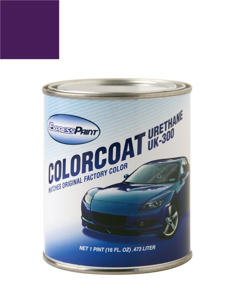 Amazon.com: ColorRite Pint for Pontiac Firebird Automotive Touch
