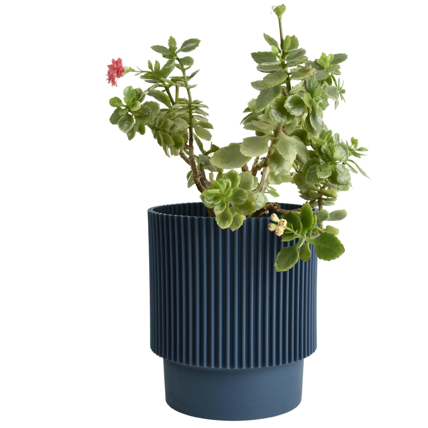 B2C Plant Pots Flower Planter 3 Colours 3 sizes Plastic Pot Modern Elegant Textured Modern Home Garden Indoor Outdoor use Convex stripes (Dark Blue, W17cm x H19cm)