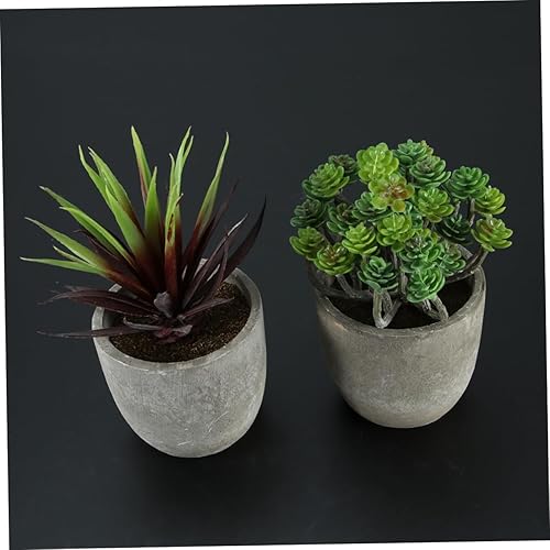 Miniatura 7 de IMIKEYA Paquete de 2 macetas artificiales para suculentas de imitación retro, bonsái, para interiores y exteriores