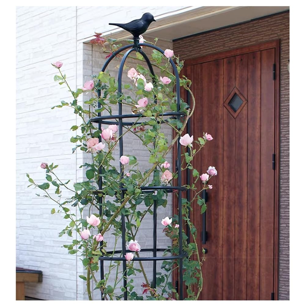 Treillis obélisque de jardin pour fleurs grimpantes de terrasse