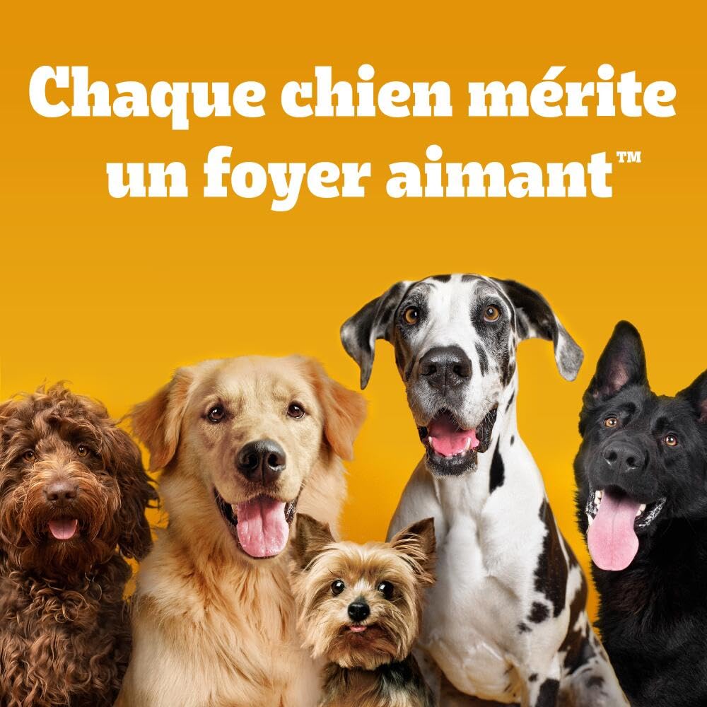 Pedigree Dentastix Chewy Chunx – Pour moyen/grand chien (15+ kg) – Friandises au poulet – Pour une bonne hygiène bucco-dentaire – 5 sachets de 68g
