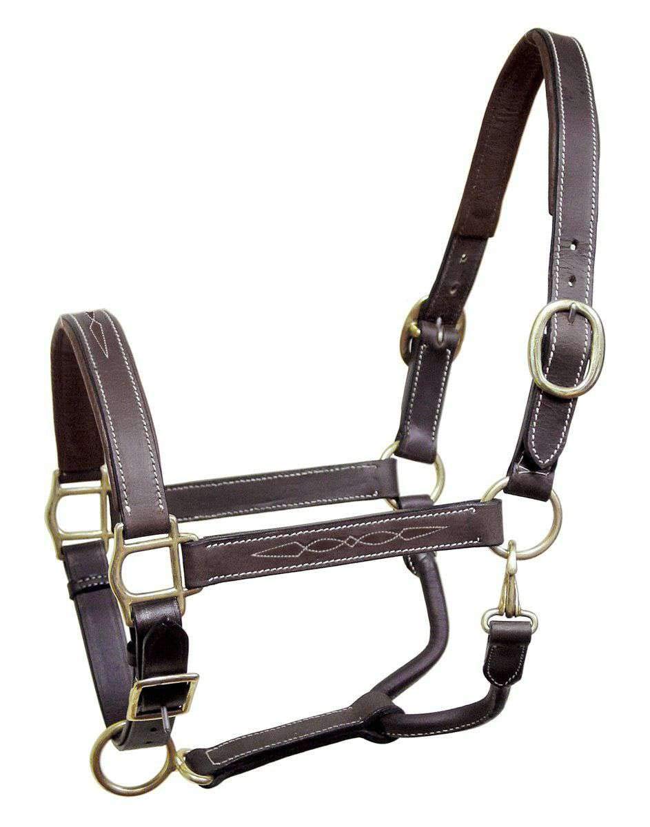 (Full) - Derby Originals English Opulence Series - Liverpool - Fancy Stitch Padded Adjustable Leather Halter
