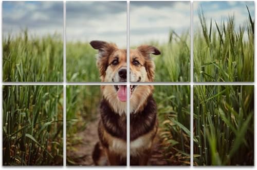 Paneles acústicos artísticos, panel de pared acústico insonorizado con panel autoadhesivo decorativo absorbente de sonido, tratamiento acústico