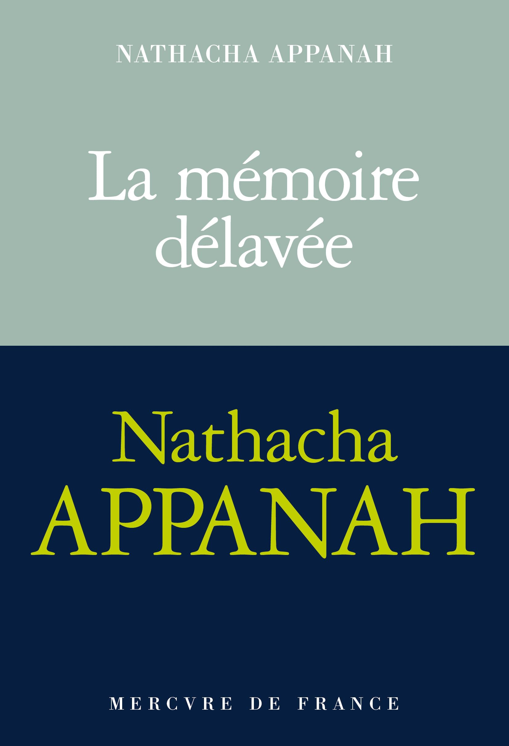 La mémoire délavée: Roman