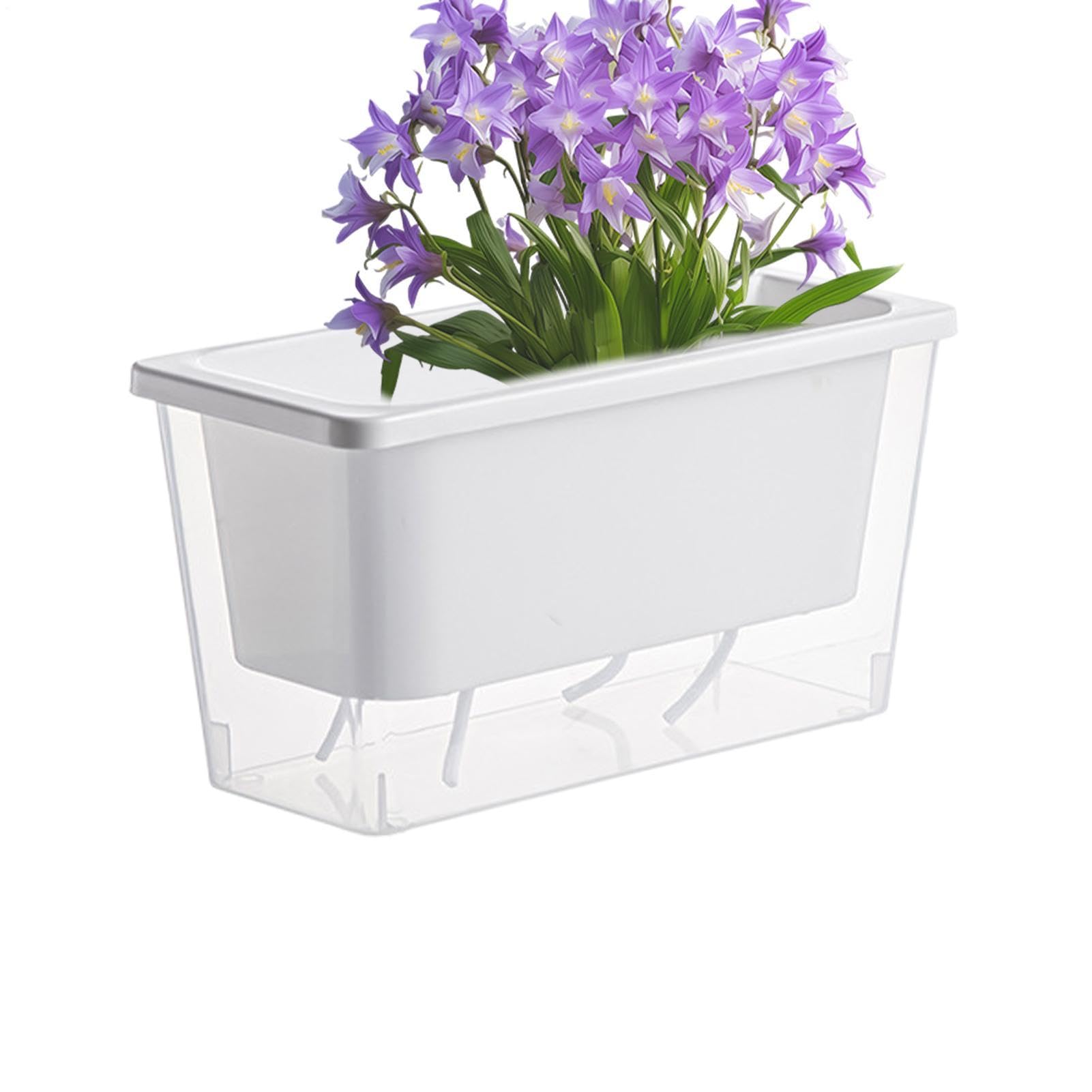 Pot à arrosage autonome pour créer un potager de légumes frais sur votre rebord de fenêtre
