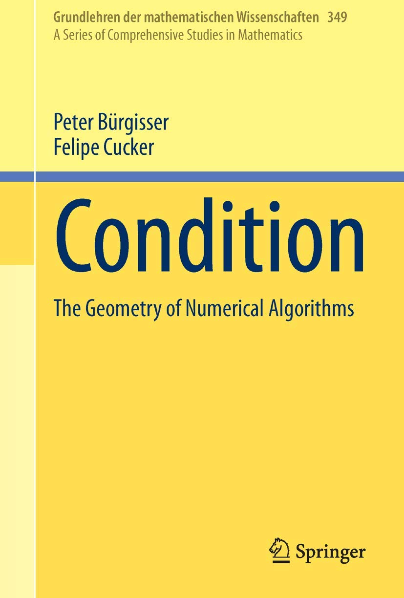 Condition: The Geometry of Numerical Algorithms (Grundlehren der mathematischen Wissenschaften, 349, Band 349)