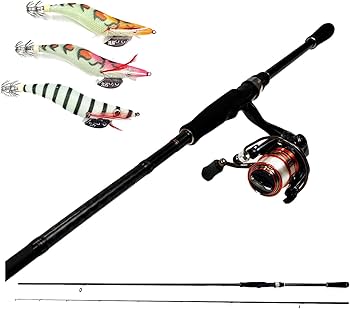 Amazon | コスパ最強！ エギングセット スタートアップセット ロッド