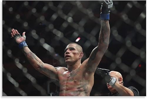 Póster de Alex Pereira Boxer (14) Obras de Arte, Póster en Lienzo de Sala Estética Arte de Pared Impresiones para el Hogar Decoración Moderna