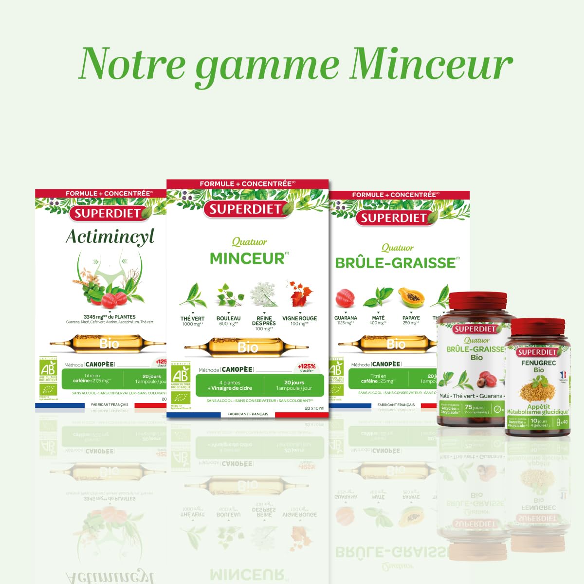 SUPERDIET - QUATUOR BRÛLE-GRAISSE BIO - Minceur -Thé vert, Papaye, Son d'avoine, Guarana - Format nomade-20 Unidoses de 15 ml