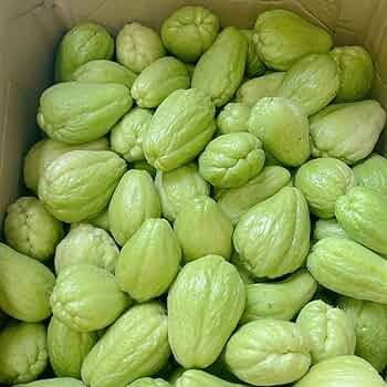 ハヤトウリ11Kg 61Nv7M794aL._AC_UF350,