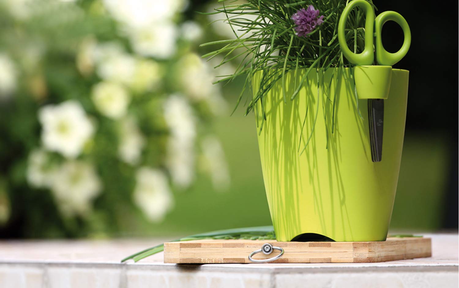 Vaso per erbe aromatiche - Italia