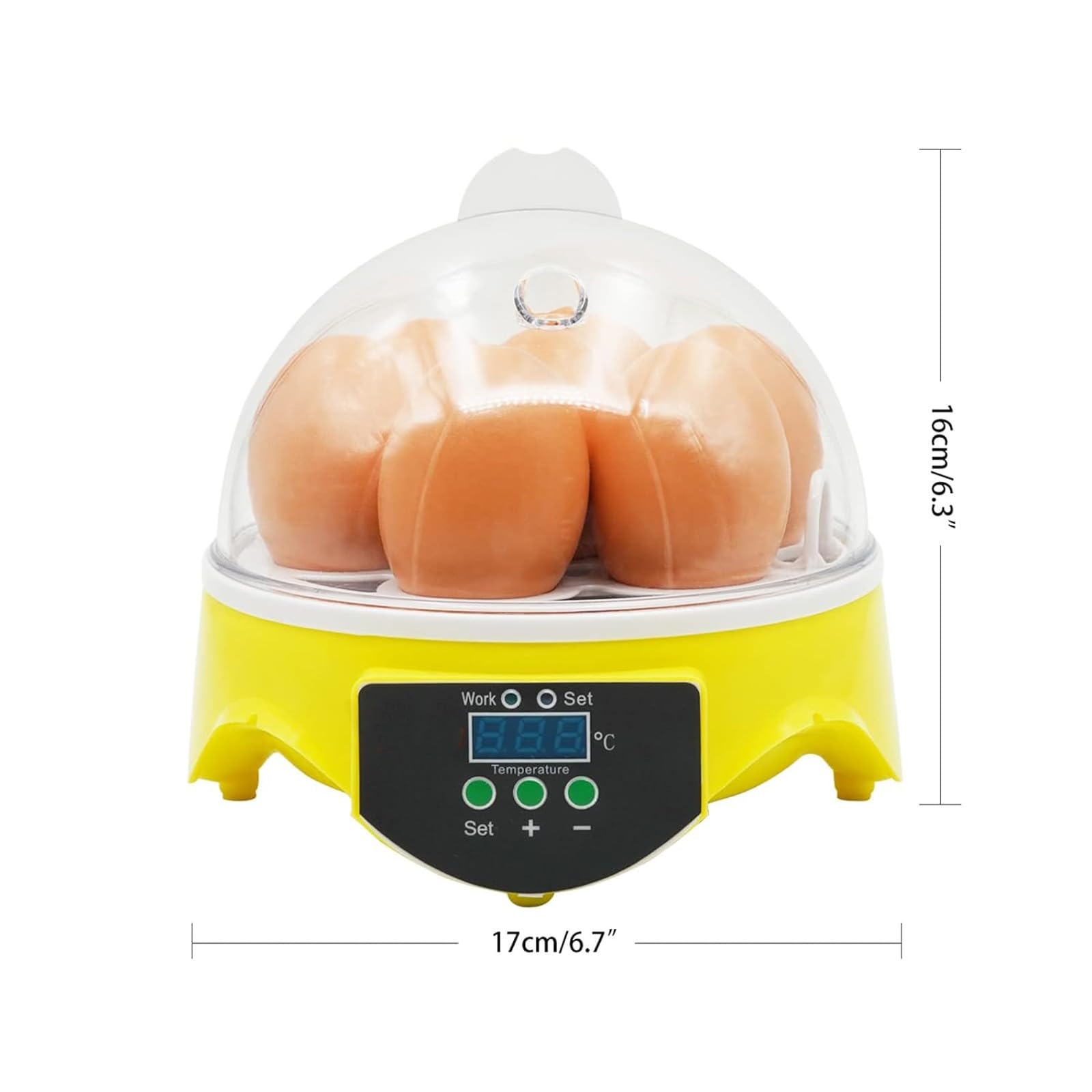 Incubatrice Per Uova Automatica 12 Uova - Con Girauova, Termostato, Display LED, Per Tartarughe E Rettili