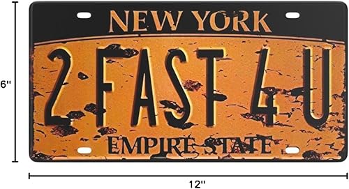 Miniatura 4 de ERLOOD New York 2FAST4U, Empire State, Estados Unidos, retro, vintage, placa de matrícula de automóvil, letrero de hojalata en relieve, tamaño de