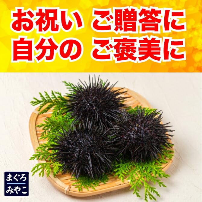 青森県大間産 無添加ウニ 100g入×4パックセット ウニ 大間」の