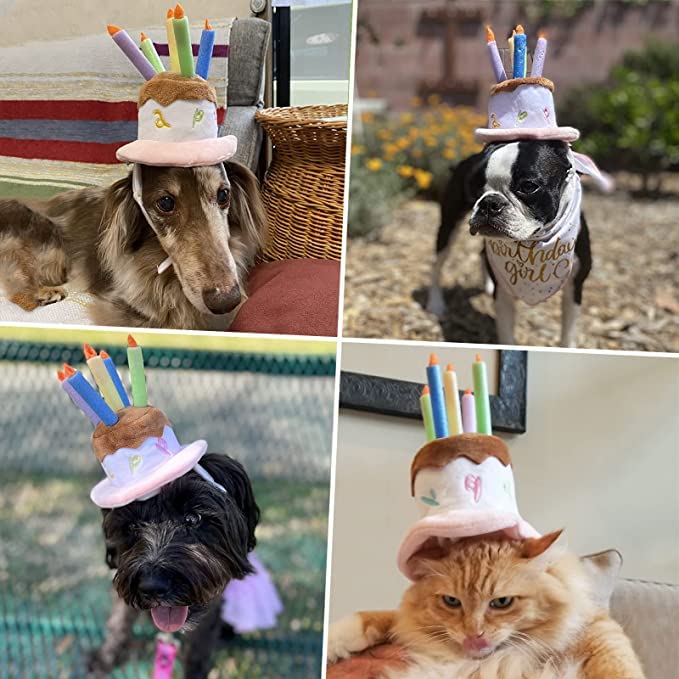 Sombrero de pastel rosa para cumpleaños de perro pequeño miniatura 5