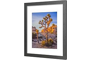 Bold 20x24 Picture Frame
