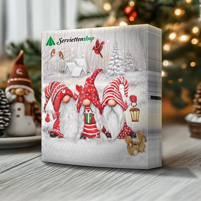 D-FantiX Set Bagno Gnomi Di Natale: Copriwater E Tappeto Con Tomte Svedesi, 5 Pezzi