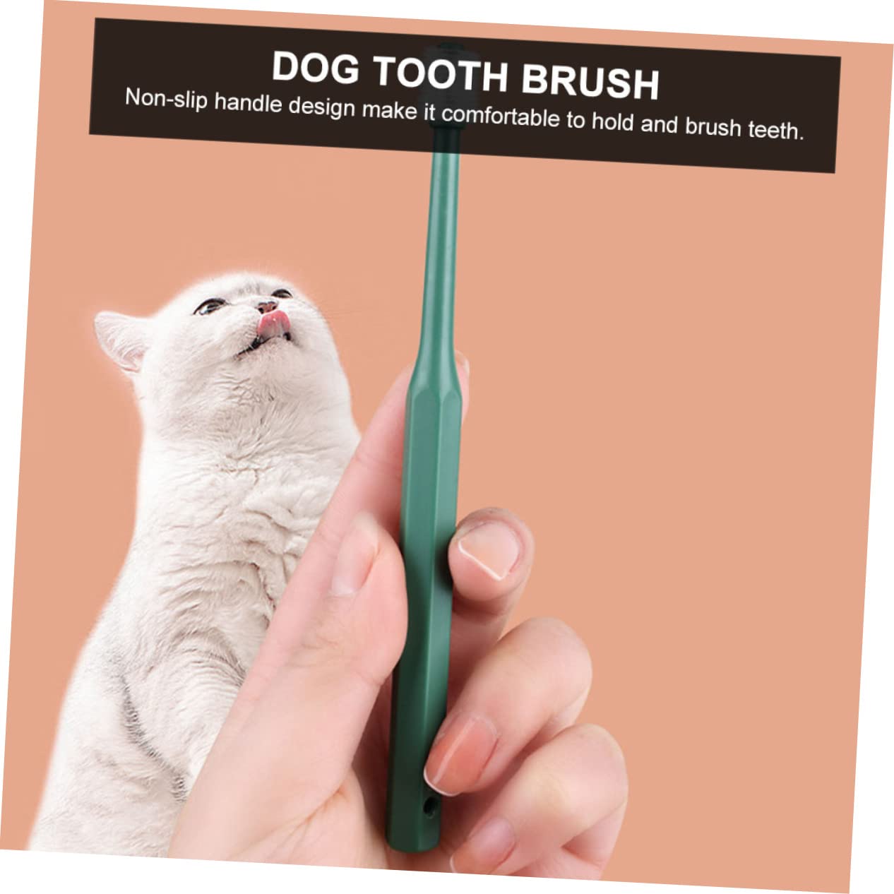 POPETPOP 12pièces Brosse à Dents Pour Animaux De Brosses à Dents Manuelles Avec Poils Souples Pour Chat Et Chien Nettoyage Buccal Confortable Et Tête Petite Pour Accès Facile Aux Zones