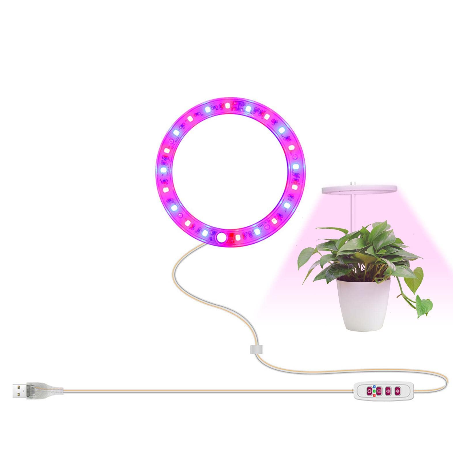 Pw Tools 1 Head Plant Grow Light, Full Spectrum Led Plant Grow Lights With 5 Dimmable Levels, Grow Light For Indoor Plant, Timer Auto Off 4 8 12H Light For Indoor Plants