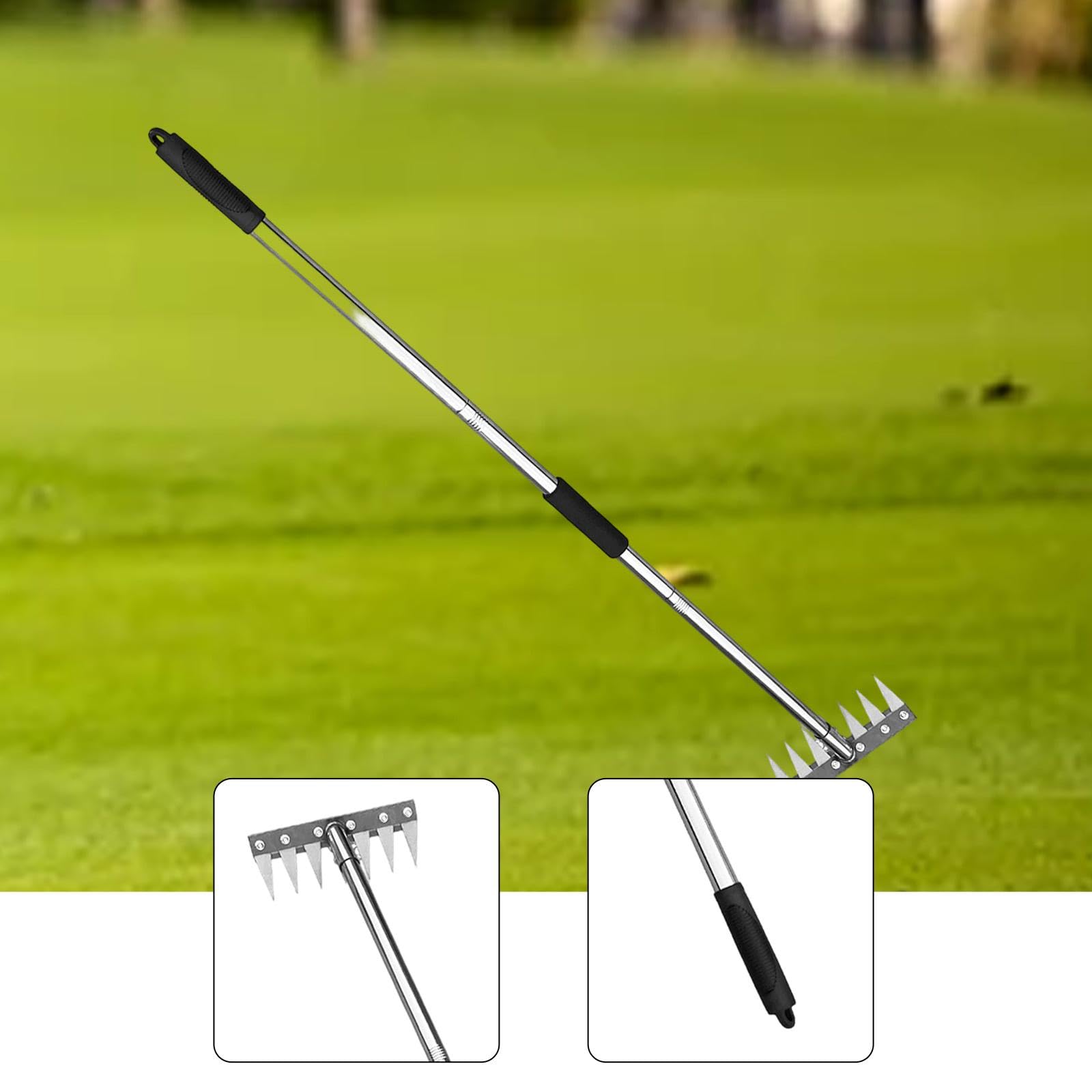 Estirpatore Manuale Erbacce Rastrello Diserbante Portatile Acciaio Inossidabile Impugnatura Ergonomica Funzione Multifunzione Adatto a Giardinaggio Se, 7 Denti