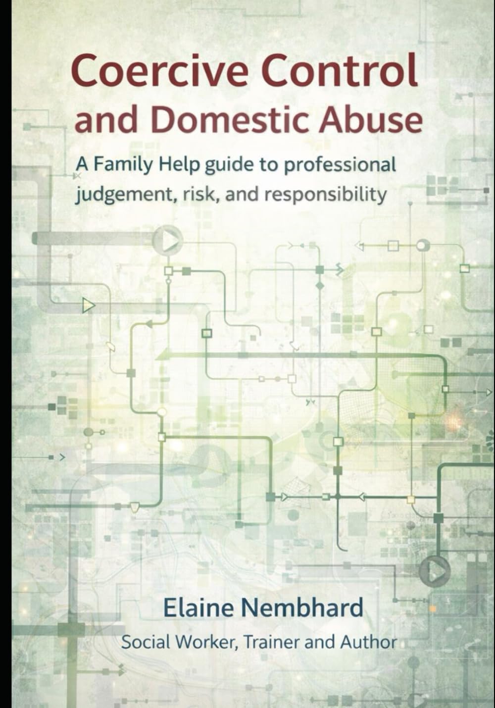 Coercive Control and Domestic Abuse: A Family Help guide to professional judgement, risk, and responsibility