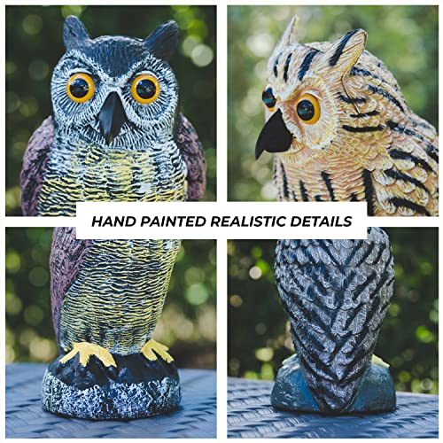Galashield KT6001 Plastic Owl Decoys [Set Of 3] thumb #1