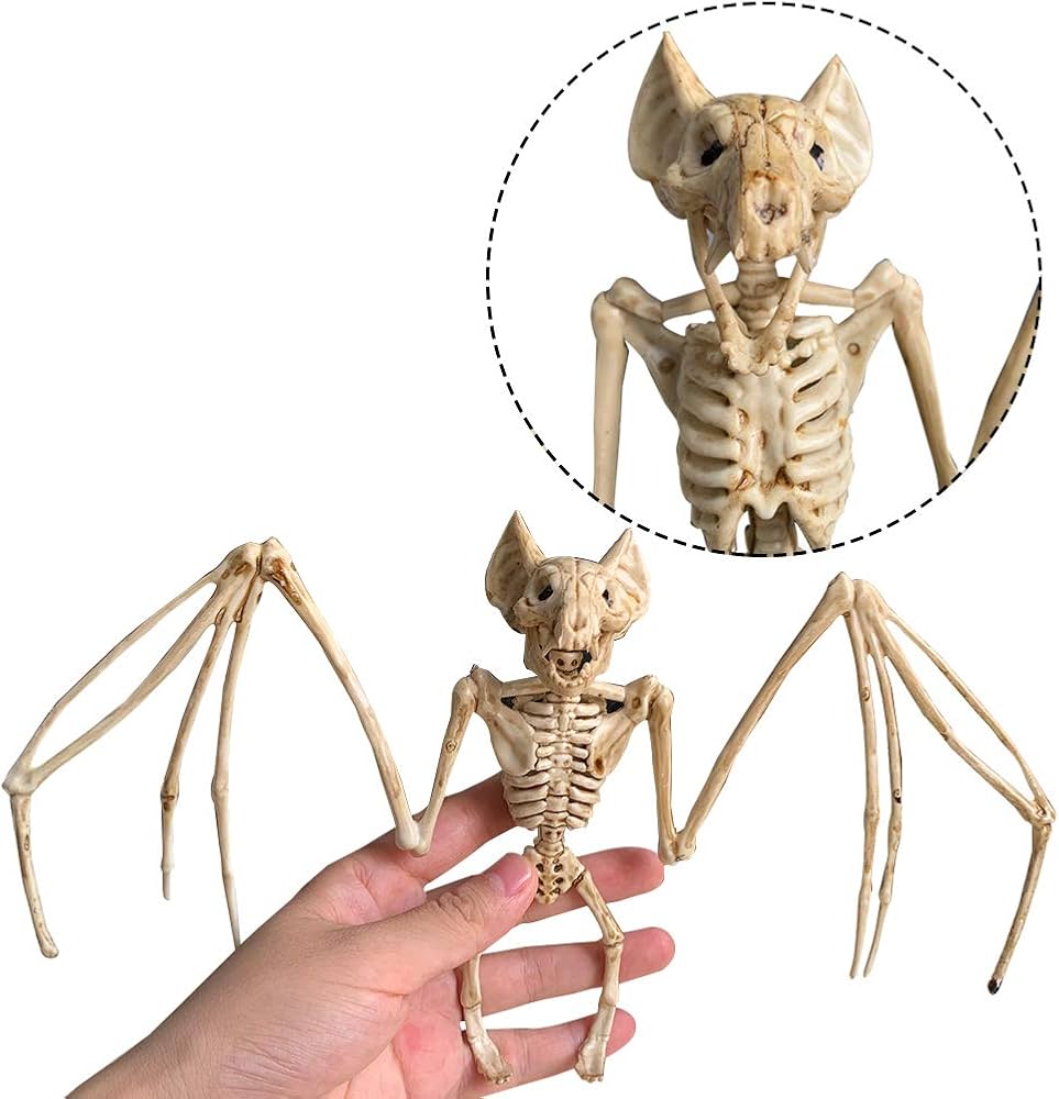 Top more than 74 bat skeleton decoration super hot vova.edu.vn