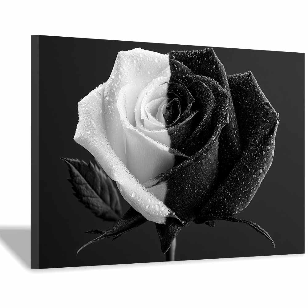 HOQIU Black And White Posters Black Whites Dewy Ros canvas wall art, decorative paintings, for Bedroom Living Room Bathroom Office Home Decoration(Multicolor)-20x30cm Framed