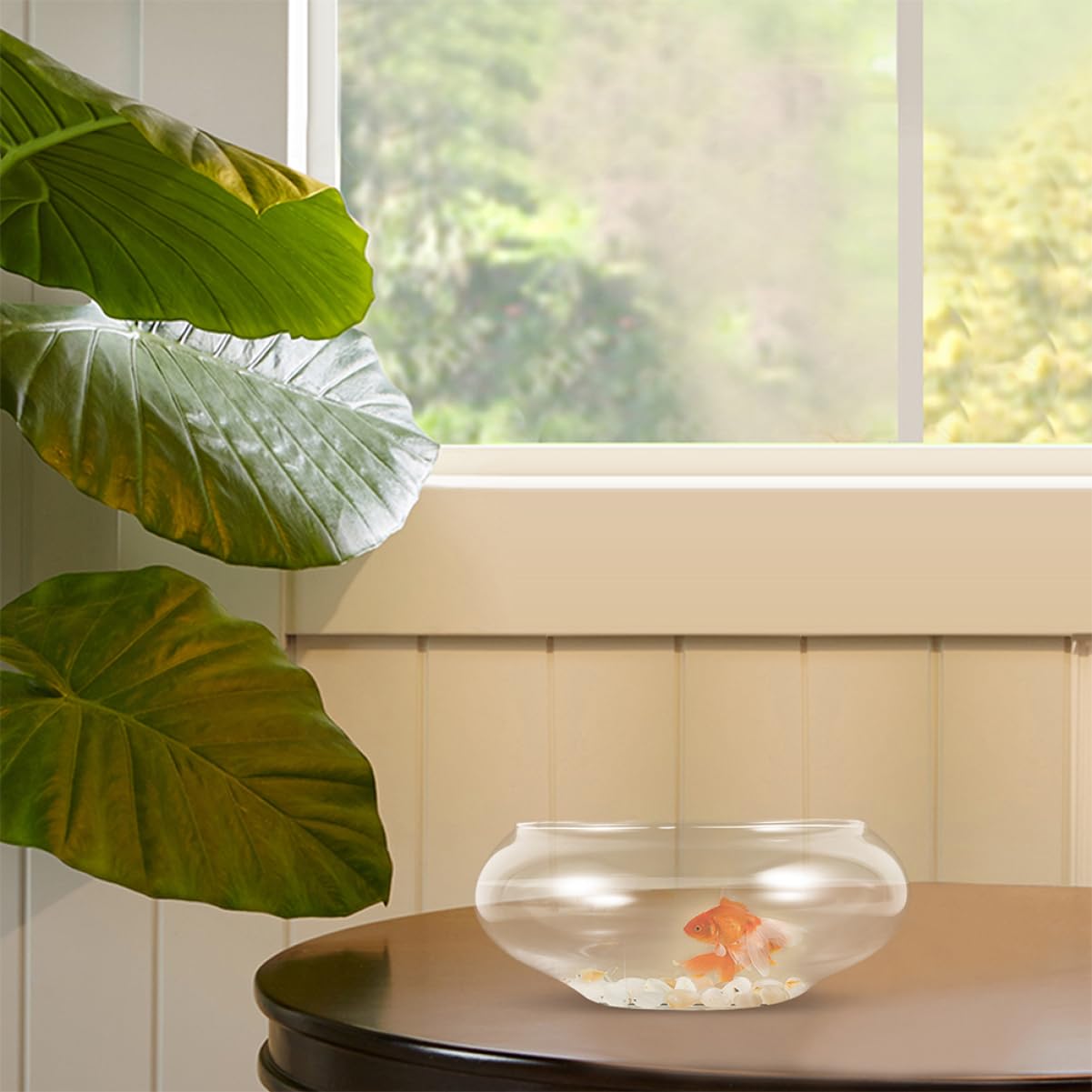 Happyyami Klare Glasvase Für Fische Und Pflanzen Runde Aquarium-vase Elegantes Terrarium Und Pflanzgefäß Für Heimdekoration Und Hochzeiten