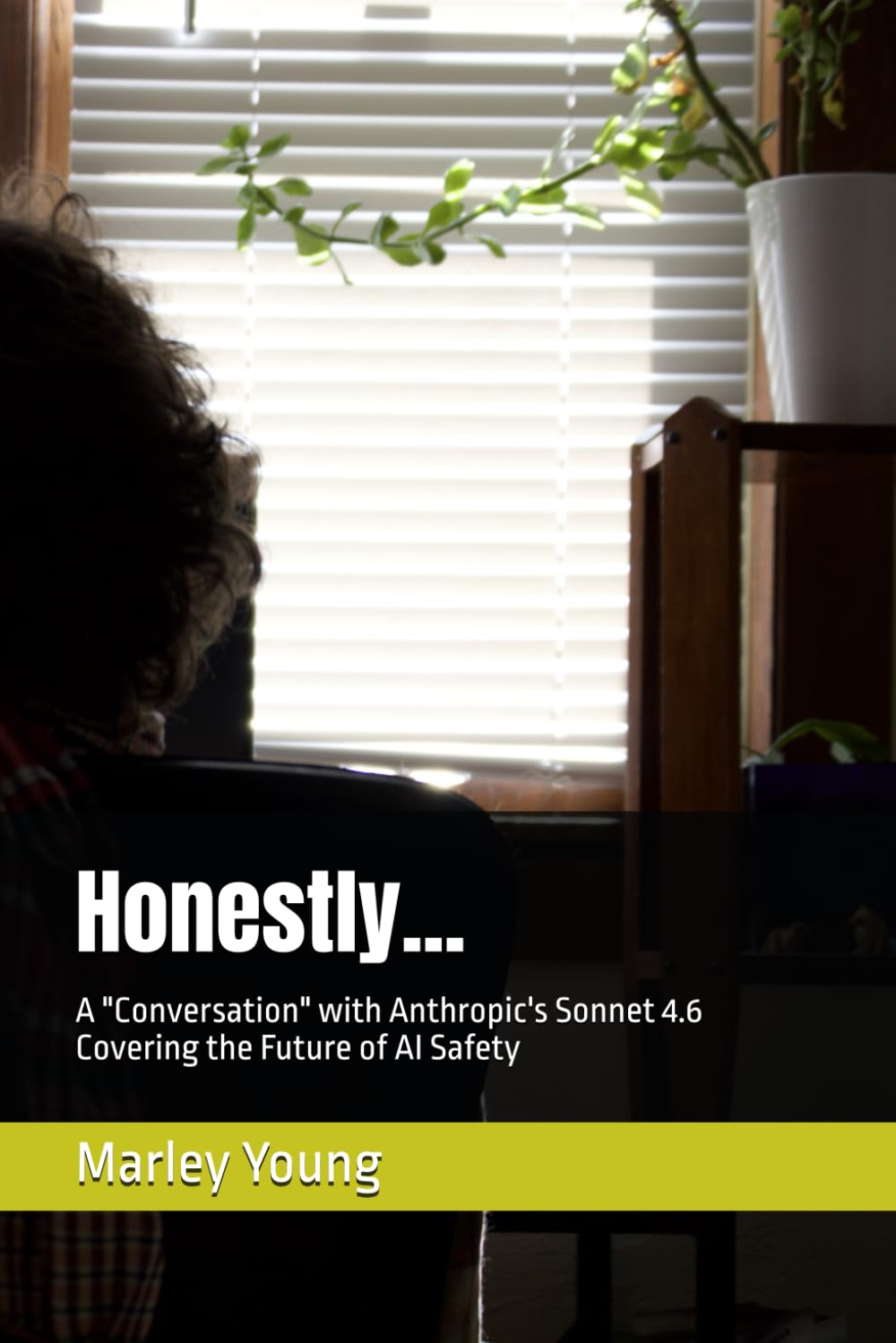 Honestly...: A "Conversation" with Anthropic's Sonnet 4.6 Covering the Future of AI Safety