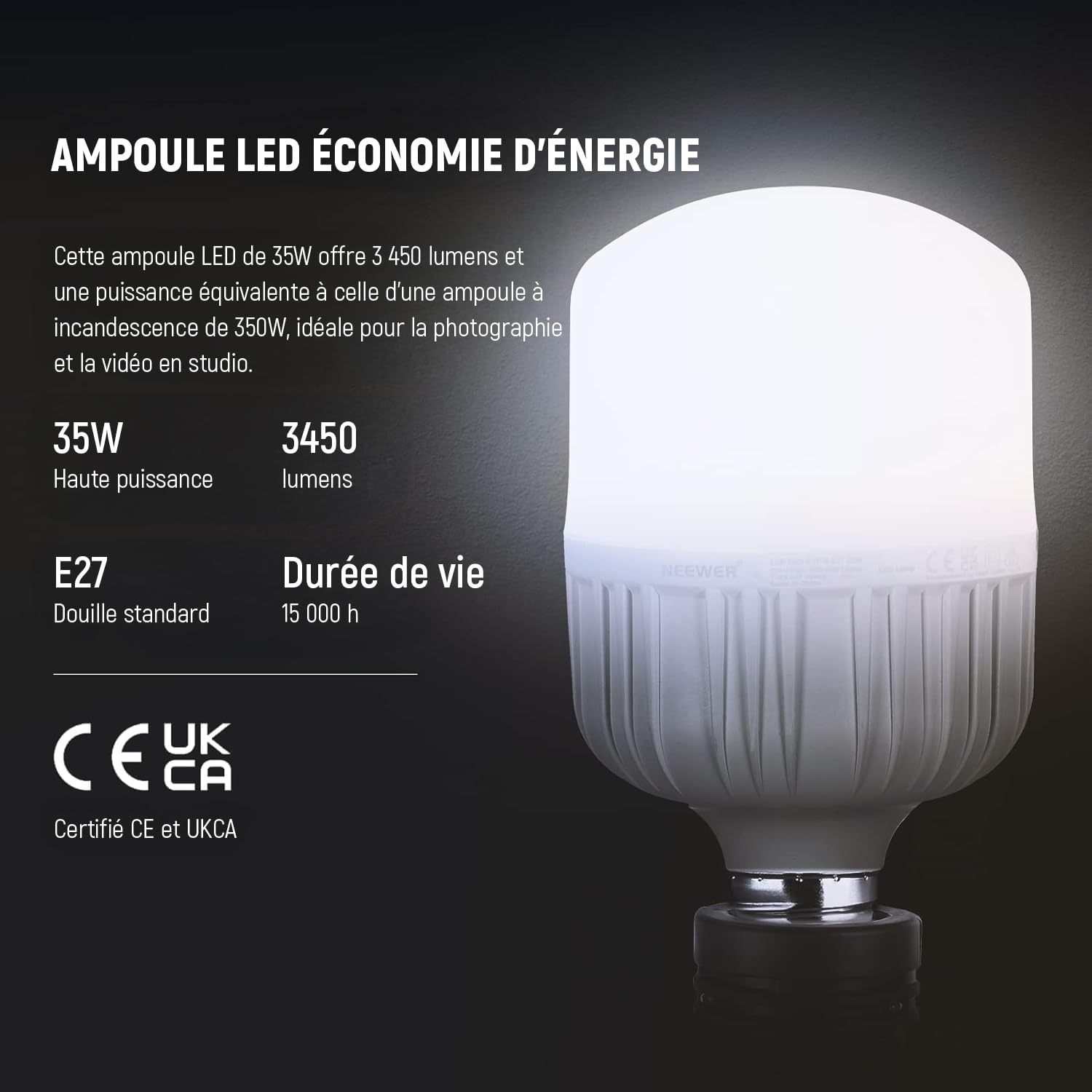 NEEWER Kit d'éclairage Softbox équivalent 700W avec Douille E27, 2 Ampoules LED 5700K 60x60cm Parapluie Softbox éclairage Continu pour Photographie de Portraits, Produit de Studio Photo et Vidéo