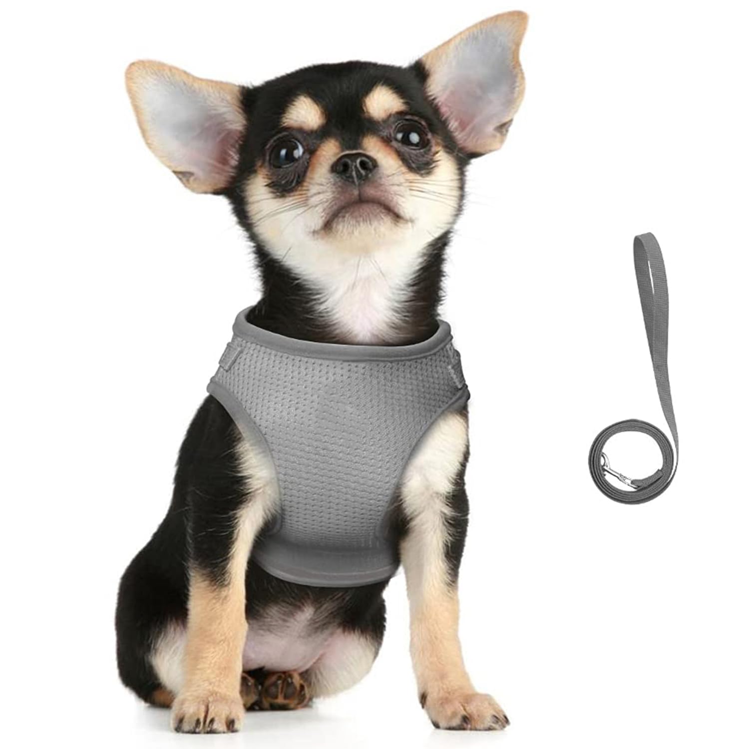 Kuber Industries Dog Chest Harness with Nylon Leash I No Pull, Soft Padded and Breathable Dog Vest I Adjustable, Reflective I Easy Control Dog Chest Belt I (XS, Grey) (B0BLST311D) Amazon Price History, Amazon Price Tracker