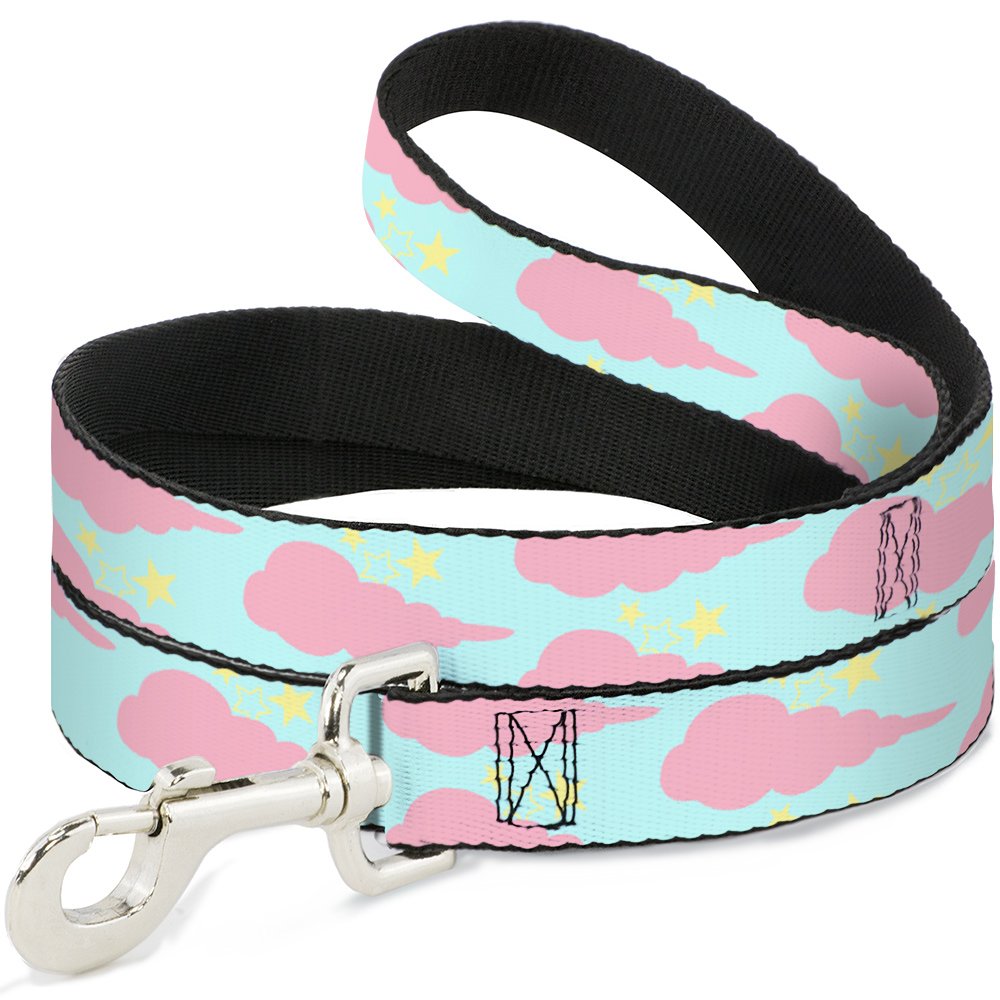 Laisse pour animal domestique nuageux aqua et rose Buckle Down