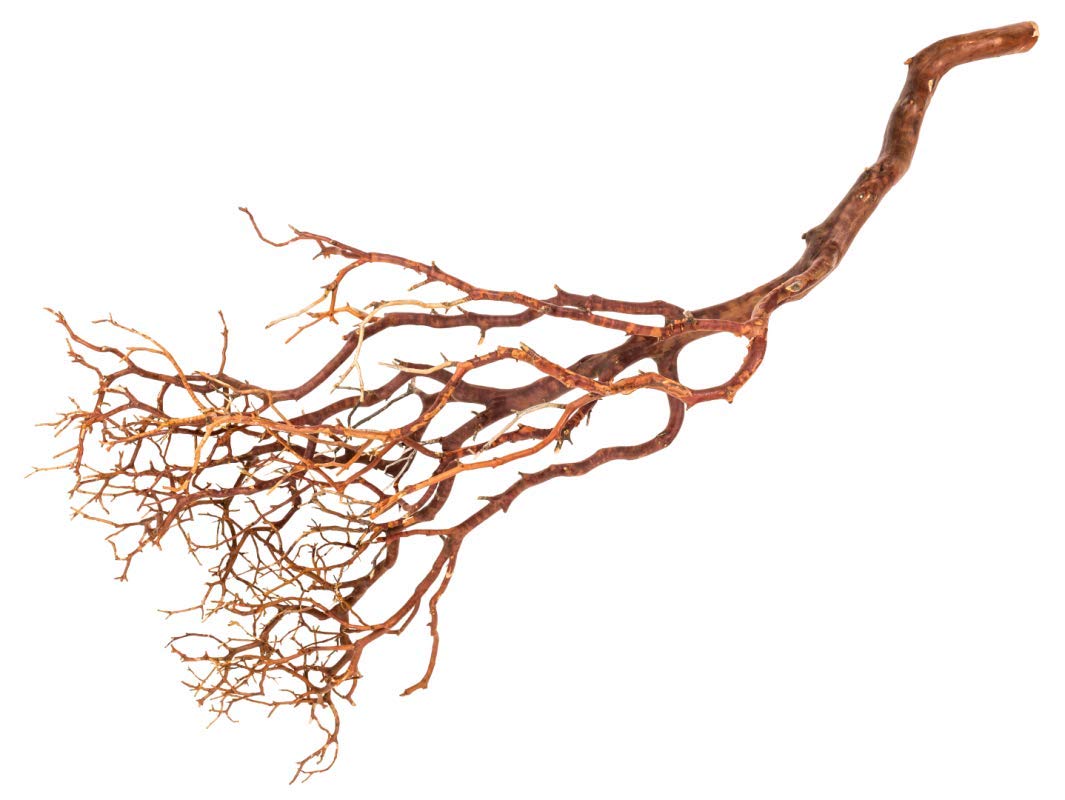 NaDeco Manzanita Baum Natur ca. 90cm hoch Manzanita Zweig Natur Zweig Dekobaum Hochzeitsbaum Dekobaum Dekozweige