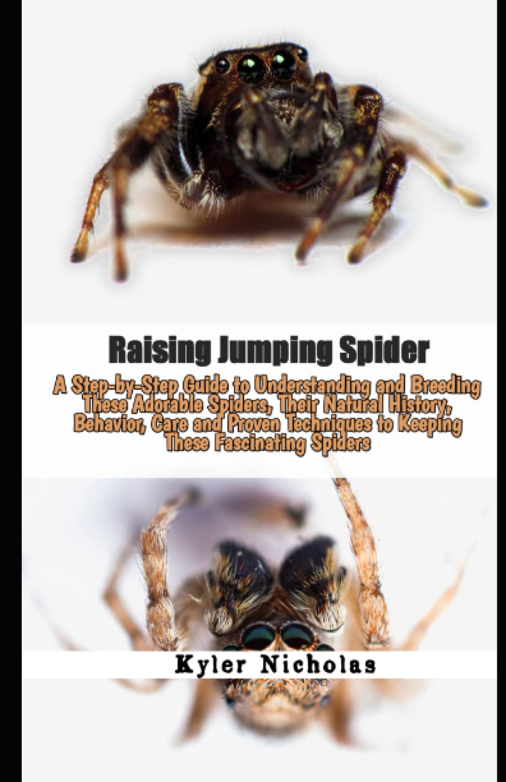 Buy Raising Jumping Spider A StepbyStep Guide to Understanding and