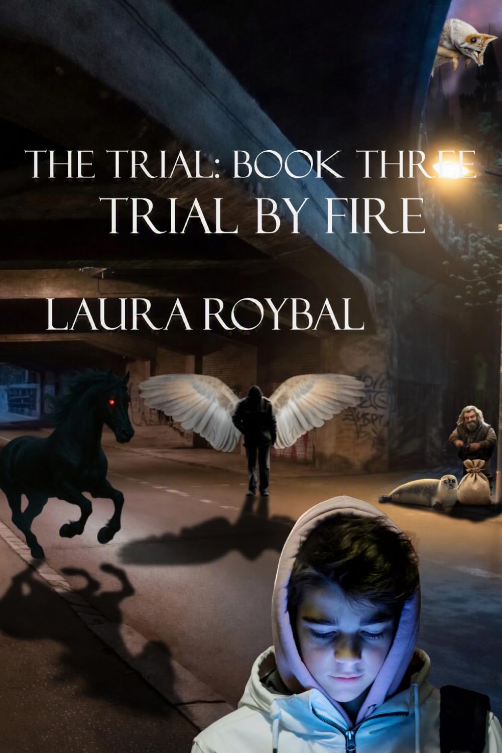 The Trial: Book Three Trial by Fire
