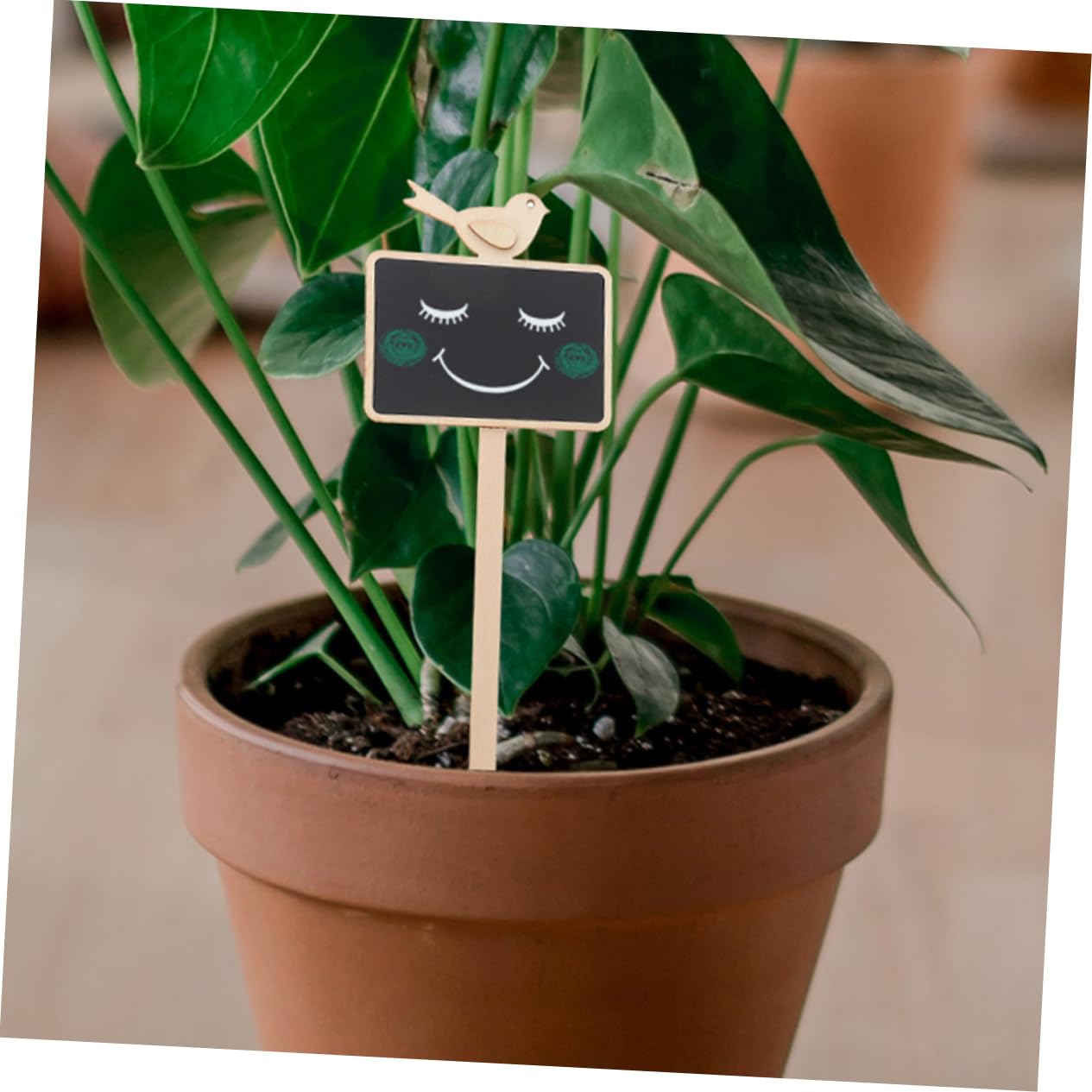 ibasenice 4 ensembles Mini-Tableau Noir Enfichable Étiquettes Pour Plantes D'Intérieur Tuteurs D'Identification Des Plantes Tuteurs D'Étiquettes De Jardin Tuteurs 10 pièces * 4