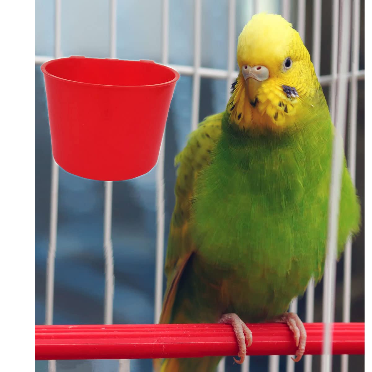 20 Pack Cage Cups Chicken Feeders Waterer Bird Water Cup Bunny Food Bowl Plastic Drinker Hanging Quail Dove Feeding Watering Dish Seed Container Coop Feeder for Parakeet Poultry Pigeon