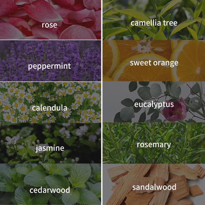 Aceite de Árbol de Té para Masajes y Aromaterapia miniatura 4