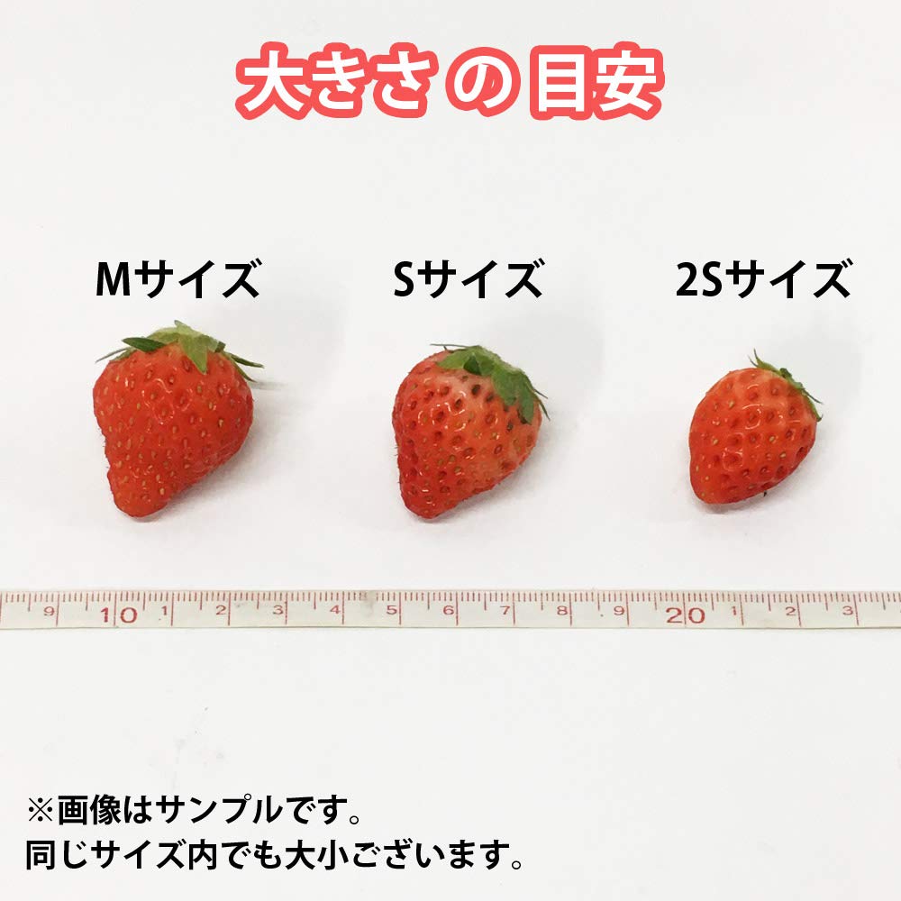 小粒いちごSサイズ 7キロ　紅ほっぺ Amazon.co.jp: 国産いちご 【Sサイズ (35〜36粒)〔欠品の場合M