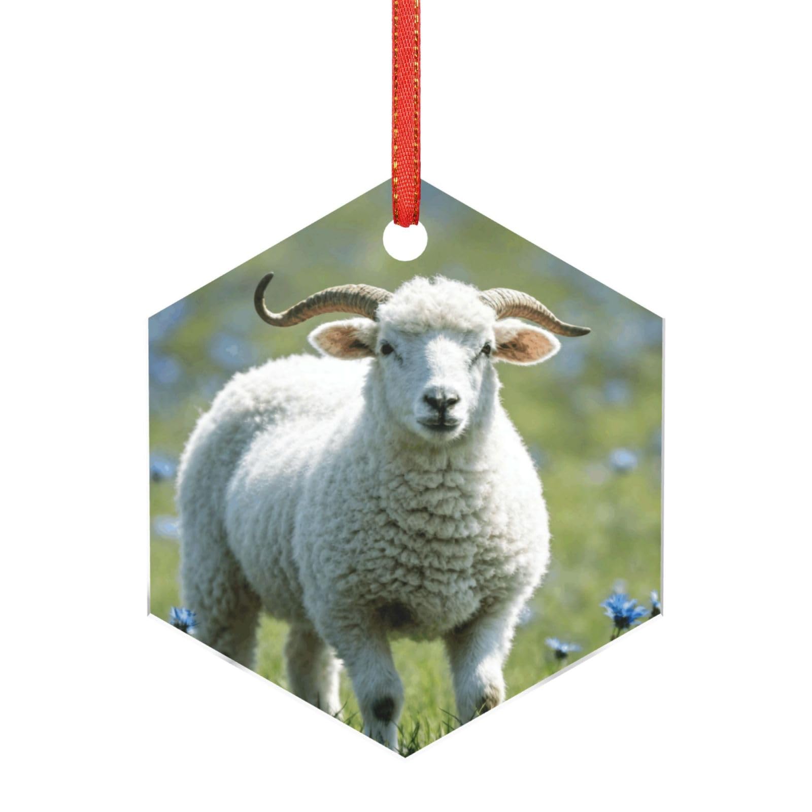 Hjkjkkj Hexagon Acrylic Ornament Christmas Tree Decoration Clear Round Pendant With Red Ribbon Sheep Christmas Ornaments Indoor Outdoor Hanging Acrylic Pendants For Xmas Party Decor