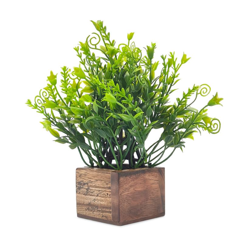 DecoreBugs Artificial Grass Leaves in Wood Pot | Small Plants for Home Decor | Office Decor | DB-8308
