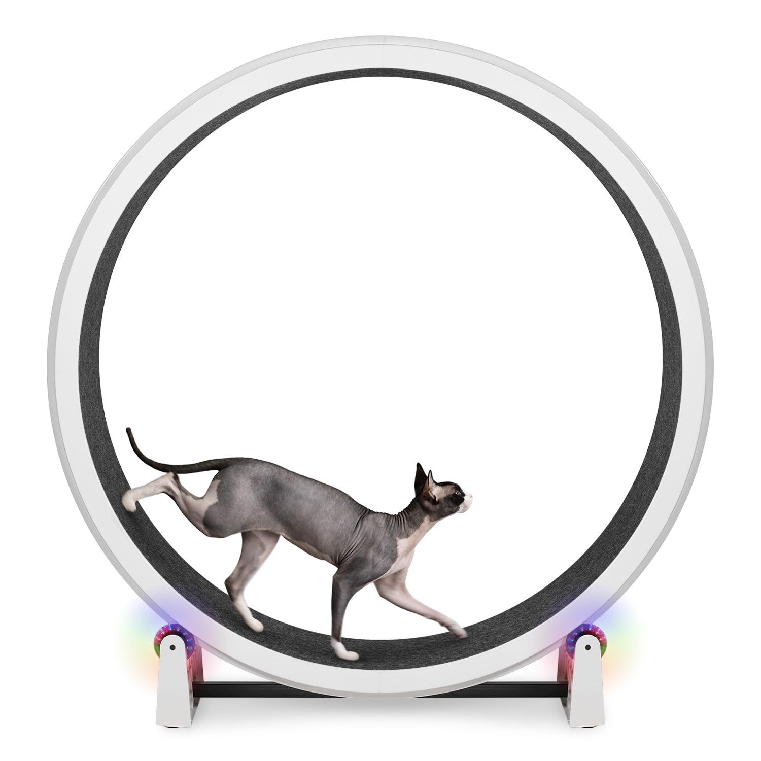 One Fast Cat Exercise Wheel, Gen 7, Safe 48” Diameter, Made in the USA