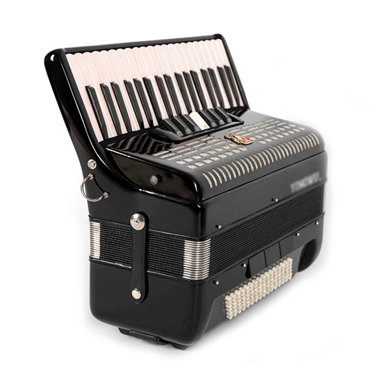 Fisarmoniche a Piano Professionale, Fisarmonica a 37 Tasti 96 Bassi, con Tracolla Regolabile e gig Bag,Nero