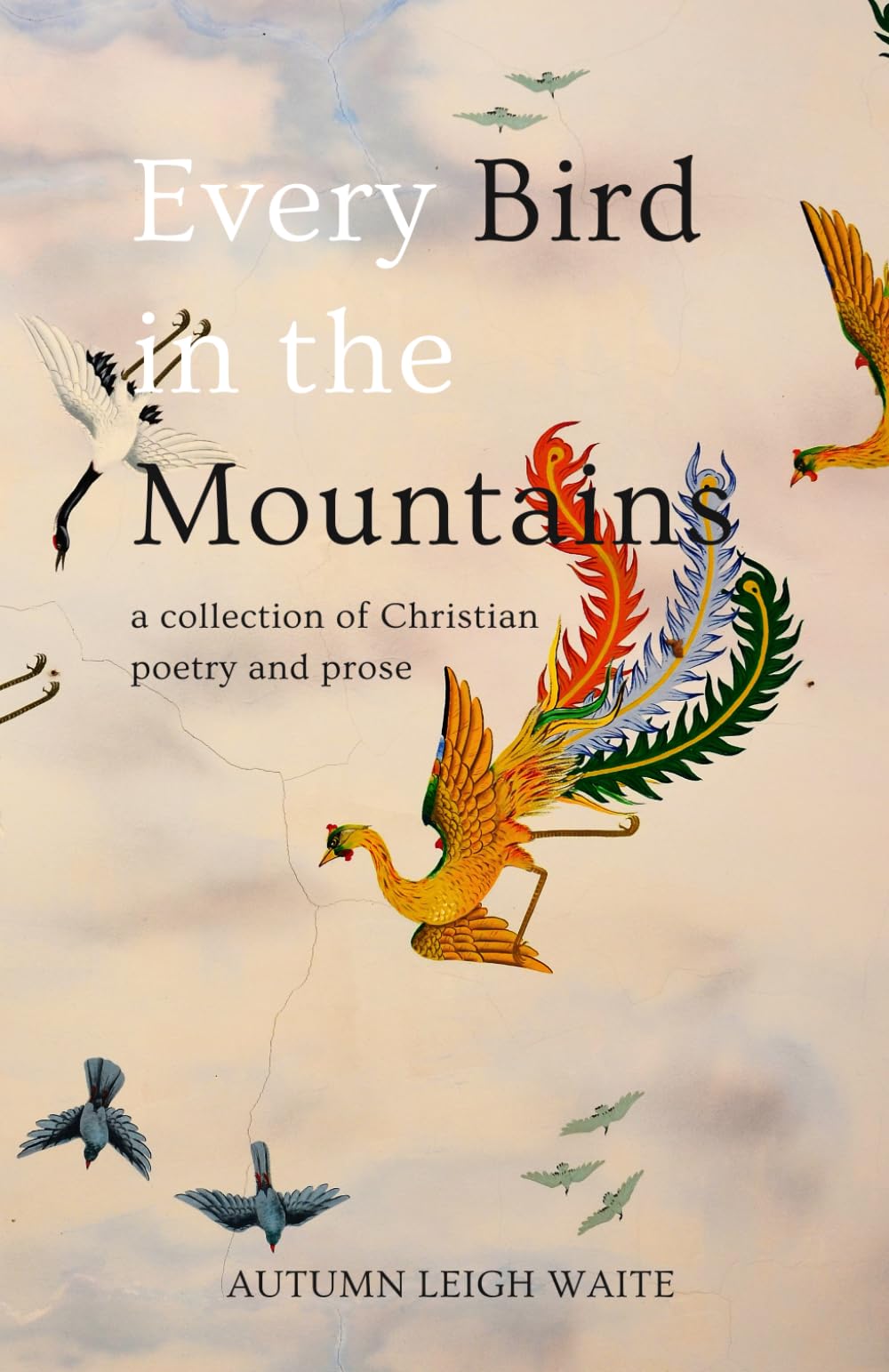 Every Bird in the Mountains: A Collection of Christian Poetry and Prose