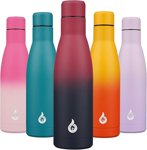 BJPKPK Botella de agua aislada de acero inoxidable de 17 onzas, para lavavajillas, segura, reutilizable, de metal, térmica, mantiene el frío y el