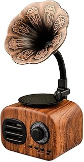 Small Retro Bluetooth Speaker, Vintage Turntable Gramophone Shaped Speakers with Aux-In, USB Port for Flash Drive, Phonograph Style for Home Decoration