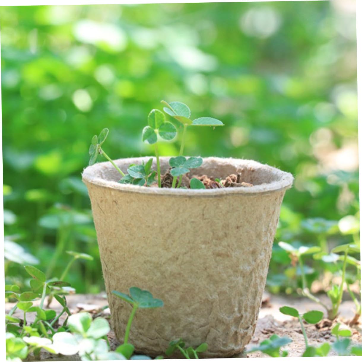 HANABASS Coppette Biodegradabili per Semina 8 Cm con Apertura, 100 Pz Vasi per Coltivazione Piantine da Giardino
